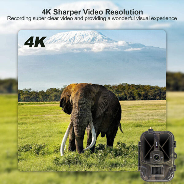 af962be6a9242983 4G 4K 36MP Wildlife APP Video Photo Hunting Trail Camera Invisible IR LED Night Vision 120 Detection IP66 Waterproof Cam