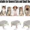15°Elevated Cat Food Bowls with Silicone Pet Mat, Double Raised Cat Transparent Plastic Bowl with Stand, Stress-Free Suit for Cats and Small Dogs, Anti Vomiting cat Bowl, Cute Cat Face Bowl