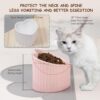 b0738e4bda93ba33 Cat Food Water Bowl Set - Raised Ceramic Cat Feeding Bowls with Non Slip Mat - Elevated Cat Dish Anti Vomiting - Whisker Friendly Wide Cat Bowl - Microwave and Dishwasher Safe - White & Pink (2pcs)