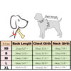 b085cbc7448be065 Winter Warm Clothes For Small Dogs Windproof Pet Dog Coat Jacket Padded Clothing for Yorkie Chihuahua Puppy Cat Outfit Vest