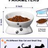 b0fda75d00db53ca Y YHY Cat Bowl Anti Vomiting, Raised Cat Food Bowls, Tilted Elevated Cat Bowl, Ceramic Pet Food Bowl for Flat Faced Cats, Small Dogs, Protect Pet's Spine, Dishwasher Safe