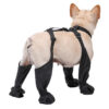 b11fbd302869cb80 1set Waterproof Boots Small Puppy Medium Large Dogs Pet Booties Anti-Slip Dog Shoes Rain Snow