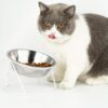 b2c568ec74fdbc8f Yangbaga Raised Cat Food & Water Bowl, 4.96 in High Cat Food Bowl for Indoor Cats, Reduce Neck Burden & Easy to Clean