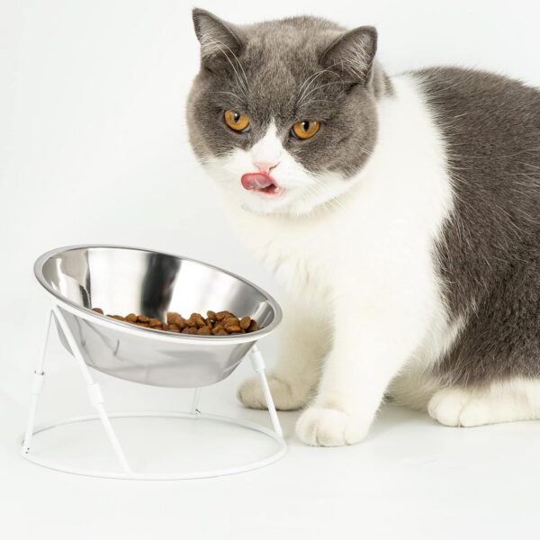 b2c568ec74fdbc8f Yangbaga Raised Cat Food & Water Bowl, 4.96 in High Cat Food Bowl for Indoor Cats, Reduce Neck Burden & Easy to Clean