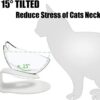 Raised Cat Bowl with Stand, 15° Tilted Cat Bowls for Kittens Elevated Cat Bowl Anti Vomiting Double Cat Bowls Plastic Transparent Cat Feeding Bowl