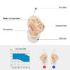 Digital Hearing Aids Invisible For Elder Seniors With A10 Battery In The Ear Sound Amplifier Audífonos First Aid