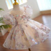 b4dc61c868b1fc94 Children Evening Dresses for Girls 3 12 14 Years Kids Birthday Party 2023 Fluffy Ball Gown Wedding Prom Formal Lace Dress