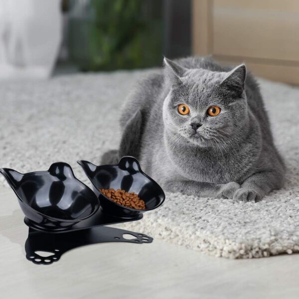 b549b2930157b26c Anti Vomiting Cat Bowls - Elevated Tilted 15° Cat Food Bowl, Raised Plastic Cat Dishes with Non-Slip Rubber Base Stand Kitty Bowl for Cats (White)