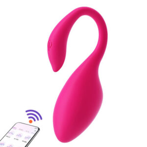 b5f523ad796816c9 Panties Vibrator Female Sex Toys G Spot Massager Clitoris Stimulator Masturbation Vibrating Egg 9 Modes APP Remote Control