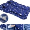 SUV Air Mattress Camping Bed Cushion Pillow, Inflatable, Car Portable Bed Back Seat (Starry Blue)