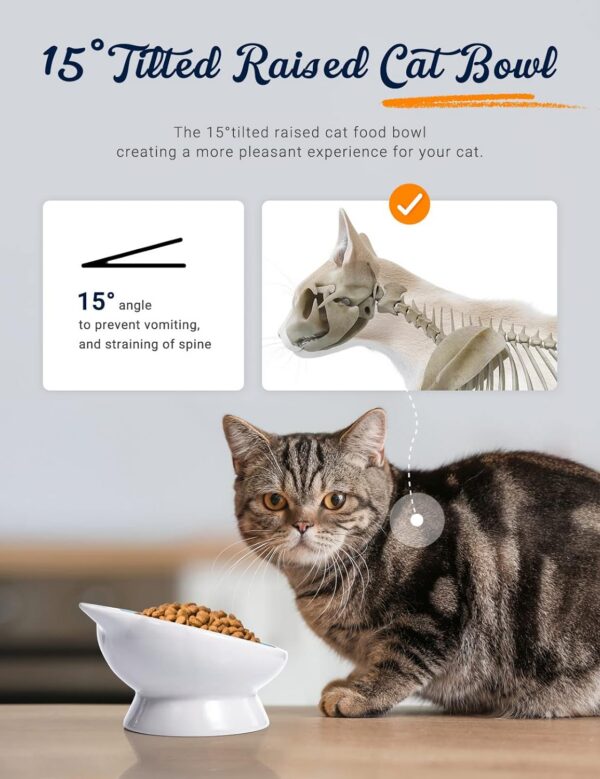 b6155ff66e2c51a6 AISBUGUR Ceramic Cat Bowls Set of 2, Elevated 15 Tilted Design for Indoor Cats, Large Capacity, Easy to Clean, Non-Slip Base, Cute Pattern, Blue