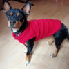 b6df3083f6f3b88d Warm Fleece Dogs Clothes Pet Jacket Vest With D-Ring For Small Dog Cats Clothing French Bulldog Costumes Chihuahua Coat