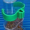 b7dca1bc0872bcc2 2 Pcs Automatic Bird Water Dispenser, Parrot Bird Water Feeder, Bottles Bird Drinker Seed Food Container, Parakeet Cage Accessories for Parakeet Budgies Cockatiel Lovebird Small Birds Canary Finch