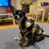 b7dfcf2f457dc5ed Winter Warm Pet Clothes Soft Wool Dog Hoodies Outfit For Small Dogs Chihuahua Pug Sweater Clothing Puppy Cat Coat Jacket