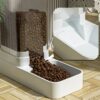 b887ef17791d9a50 HOOPET Dog Feeder Cat Automatic Feeding Water Bowl Transparent Pet Food Storage Dispenser Container Puppy Kitten Accessories