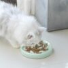 Slow Feeder Bowl for Cats and Small Dogs,Cilkus Fish Pool Design, Fun Interactive Bloat Stop Puzzle Feeder Bowl Healthy Eating Diet Made of Melamine Food Grade Material Dishwasher Safe (Green)