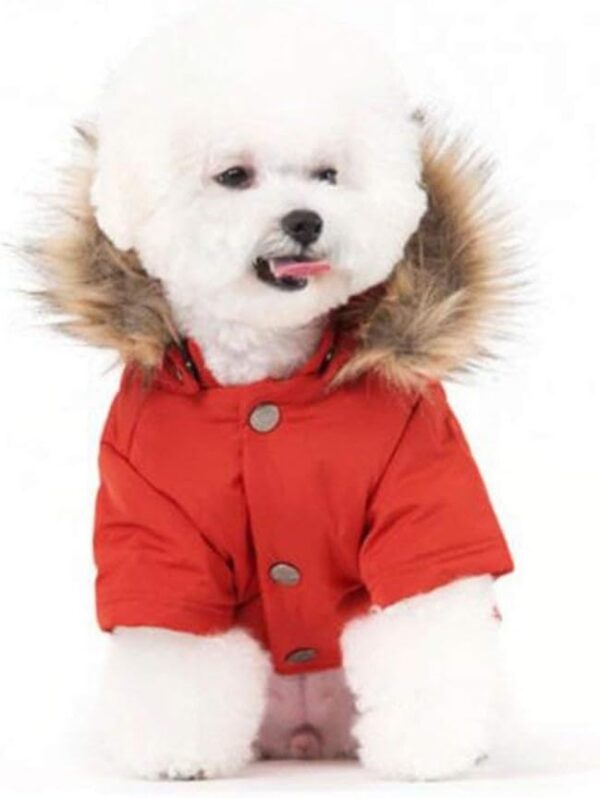 b97a9f7079b6831d Cat Dog Doggie Down Jacket Hoodie Coat Pet Clothes Warm Clothing for Small Dogs Winter Black L
