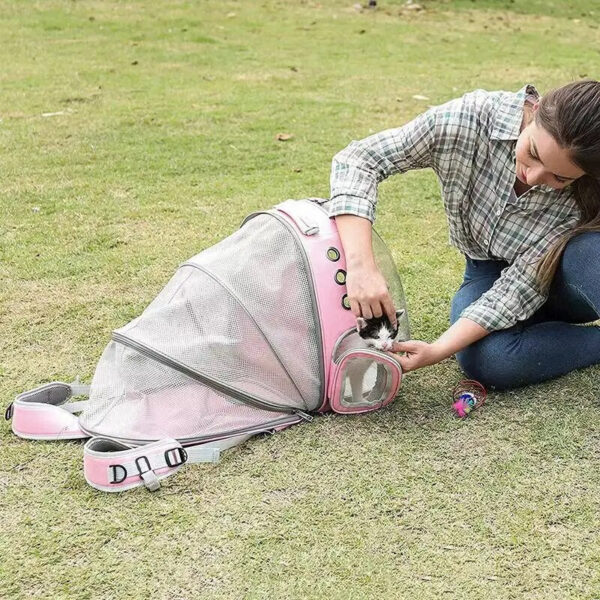 b9845c594fb62e64 Expandable Cat Large Transparent Carrier Backpack Bubble Space Capsule High Quality Pet Travel Bag