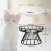 b99e0d27fba78042 Cat Bowls, Elevated Cat Bowl, Raised Ceramic Cat Dish with Metal Stand, Pet Water or Food Feeding Station for Indoor Cats, Kitten, Puppies and Small Dogs(2 Pack)