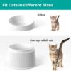b9ee97d47cbfba0a Elevated Cat Food Bowl Super Widen Raised Cat Food Dishes for Protecting Spine, Reliefing Whisker Fatigue, Anti-Vomiting 17° Tilted Pet Feeding Bowls with Silicone Mat for Indoor Cats