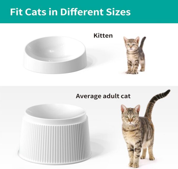 b9ee97d47cbfba0a Elevated Cat Food Bowl Super Widen Raised Cat Food Dishes for Protecting Spine, Reliefing Whisker Fatigue, Anti-Vomiting 17° Tilted Pet Feeding Bowls with Silicone Mat for Indoor Cats