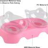 MILIFUN Cat Bowls, Cat Food Bowls Elevated Tilted, Anti Vomiting Kitty Bowls for Puppy and Bunny, Orthopedic Cat Bowls for Indoor Cats. (Pink)