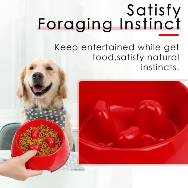 Super Design Slow Feeder Dog Bowl, 1 Cup, Nonslip, Heat-Resistant, Sturdy, Suitable for Small to Medium Sized Dogs