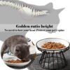 bbd94dede33730c8 Cat Bowls, Elevated Cat Bowl, Raised Ceramic Cat Dish with Metal Stand, Pet Water or Food Feeding Station for Indoor Cats, Kitten, Puppies and Small Dogs(2 Pack)