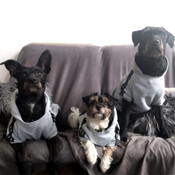 bcf5b912a0852c8b Pet Clothes Adidog Dog Hoodies Autumn Winter Warm Coat for Large Dogs Jacket Sweater Puppy French Bulldog Clothing