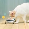 Y YHY Cat Bowls Elevated, Ceramic, 12 Ounces, Reduce Neck Burden, Anti Vomiting, Dishwasher Safe