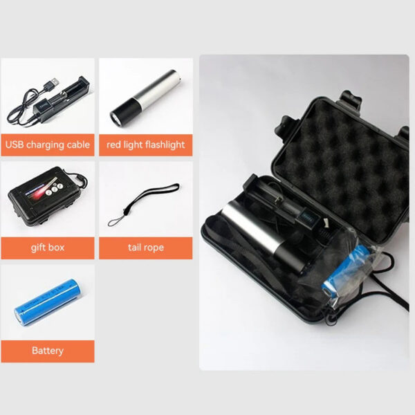 Portable Red Light Flashlight Relief Muscle Pain Infrared Lamp Led Therapy Skin Care Pet-friendly