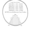 bdef7397ae658106 Full moissanite tennis necklace With Certificate 3-5mm Size Gradient Diamond Necklaces for women Sterling Sier Neck Chain