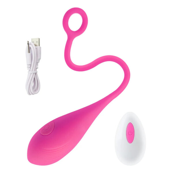 Powerful Bullet Vibrator Wireless Remote Control Vibrating Egg 10 Speeds G Spot Clitoris Stimulator Love Eggs Sex Toys for Women