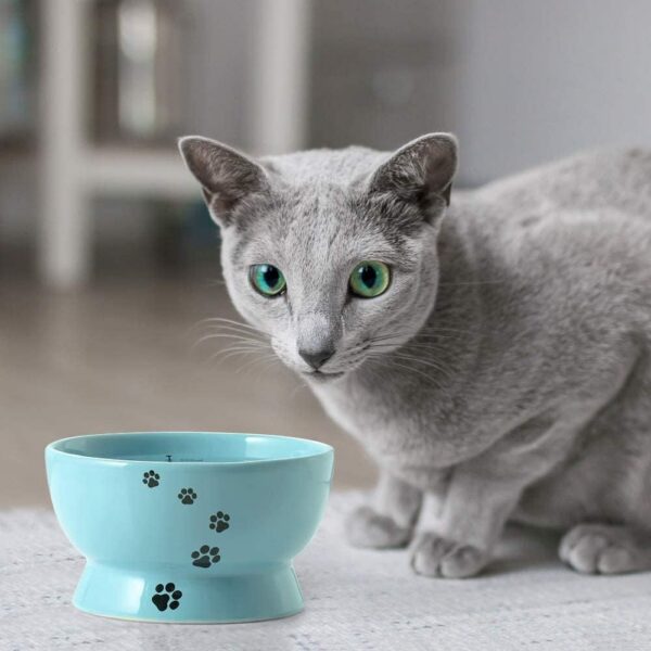 Y YHY Raised Cat Food Bowl Set, Ceramic, Tilted Elevated Bowls, 2 Bowls, 3.6 in & 3 in, White