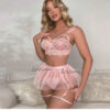 c04568c755c45afa Sexy Lingerie Set Woman Lace Transparent Erotic Underwear Sets Delicate Bra Push Up Breves Sets Thin Sexy Erotic Bras Bodysuit