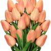 c055018fa0871f46 24 Pcs White Tulips Artificial Flowers Real Touch Fake Tulips Fake Flowers for Decoration 13.5" Faux Tulips Faux Flowers Bulk Artificial Tulips Flowers for Vase Centerpieces Home Wedding Bouquet