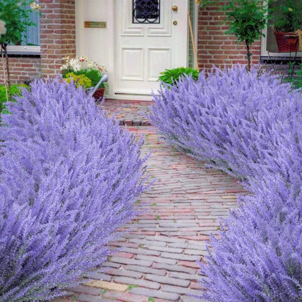 c092045d708896f8 Ouddy Decor 24 Bundles Artificial Lavender Flowers Fake Plastic Purple Flowers Outside UV Resistant for Home Wedding Kitchen Garden Patio Window Box Centerpieces Indoor Outdoor Decor (Gray Purple)