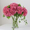 c1207c1abbb67737 3PCS 22 inch Lifelike Artificial Hydrangea Large Real Touch Flowers Artificial Flowers Dry Flowers Outdoor Wedding Christmas Office Family Party Living Room Table Decoration (White)