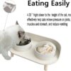 15°Elevated Cat Food Bowls with Silicone Pet Mat, Double Raised Cat Transparent Plastic Bowl with Stand, Stress-Free Suit for Cats and Small Dogs, Anti Vomiting cat Bowl, Cute Cat Face Bowl