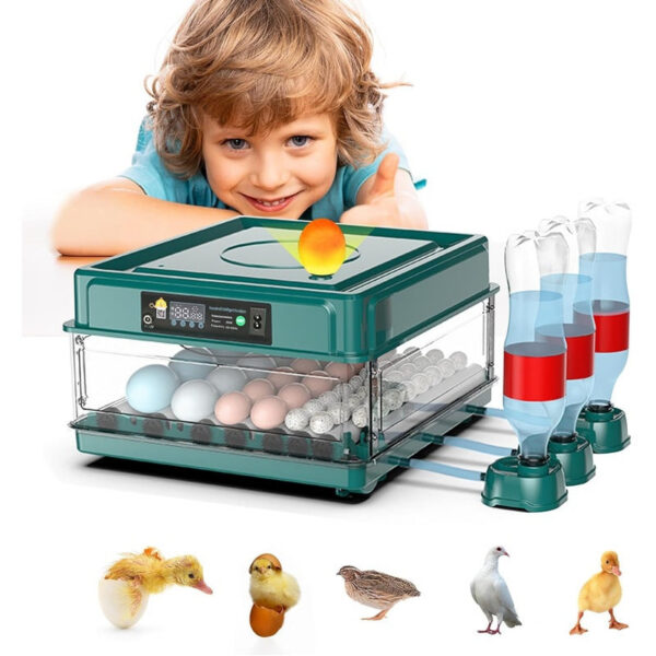 9-15 eggs incubator for Chicken Goose Bird Quail Automatic Equipment Hatchery Incubation Tools EU/US/UK Plug