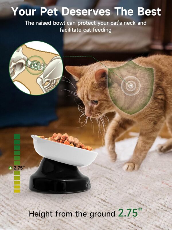 Y YHY Slow Feeder, Elevated Food Bowl Tilted Design for Dog and Cat for Dry and Wet Food