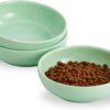 c43bf1713cd65db8 Howise 5.3 in Ceramic Cat Bowls Set, Shallow Cat Food Bowl Small Pet Bowls Cat Dish for Food and Water, Green
