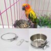 c4ce49f8cd6a96a8 Pet Feeder Water,10oz 20oz 30oz Bird Hamster Small Animal Cup with Holder,Stainless Steel 10oz Cage Coop Hook Cup for Small Animal Cage Bowl (10oz Stainless Steel Bowl)