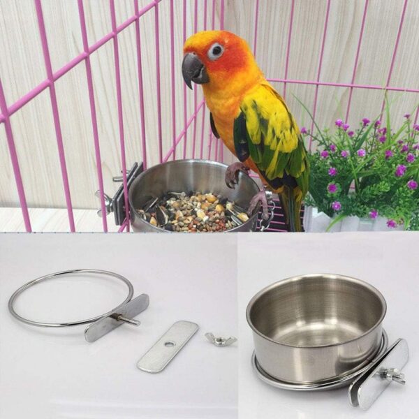 c4ce49f8cd6a96a8 Pet Feeder Water,10oz 20oz 30oz Bird Hamster Small Animal Cup with Holder,Stainless Steel 10oz Cage Coop Hook Cup for Small Animal Cage Bowl (10oz Stainless Steel Bowl)