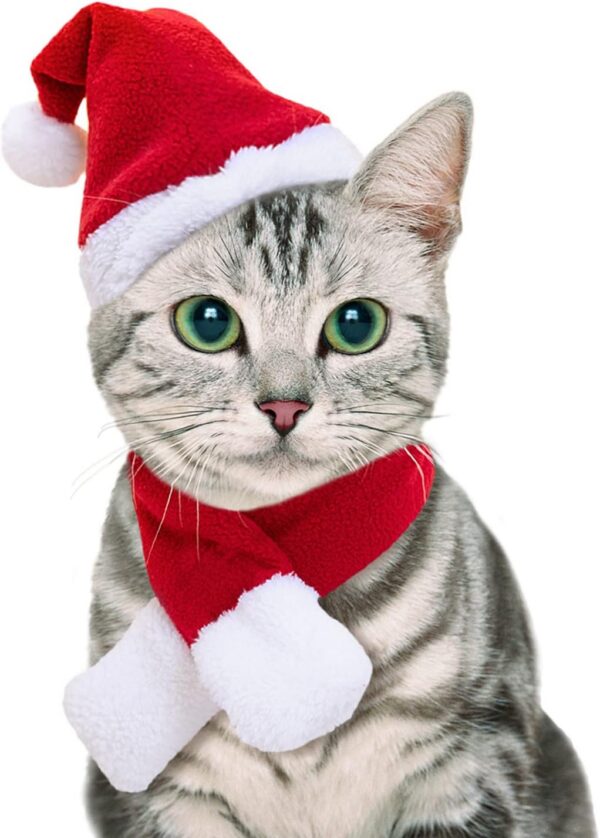 Namsan Holiday Pet Costume Cat Birthday Hat Small Dog Birthday Cake Hat Dog Birthday Party Supplies, Small