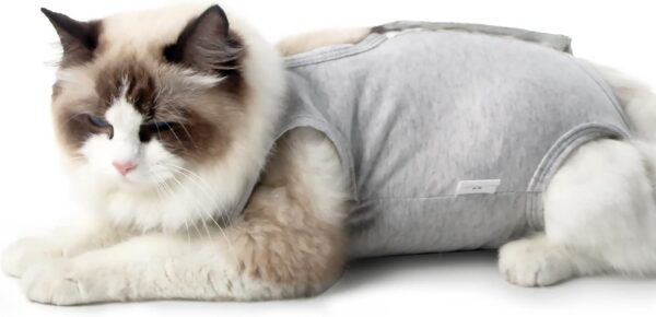 c58ab3e91fe490c0 Cat Recovery Suit for Male and Female Surgical Post Surgery Soft Cone Onesie Shirt Clothes Neuter Licking Protective Diapers Outfit Cover Kitten Spay Collar(M, Grey)