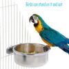 c5c187e3e202323c PINVNBY Parrot Feeding Cups Birds Food Dish Stainless Steel Parrot Feeders Water Cage Bowls with Clamp Holder for Cockatiel Conure Budgies Parakeet Parrot Macaw Small Animal Chinchilla Pack of 2