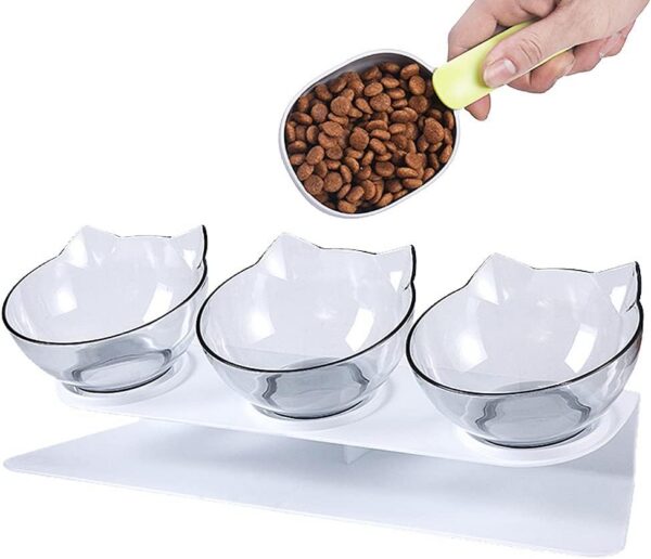 Raised Cat Bowl with Stand, 15° Tilted Cat Bowls for Kittens Elevated Cat Bowl Anti Vomiting Double Cat Bowls Plastic Transparent Cat Feeding Bowl