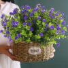 c7e7da4338d827cd RECUTMS 12 Bundles Outdoor Artificial Flowers UV Resistant Fake Boxwood Plants, Faux Greenery for Indoor Outside Hanging Plants Garden Porch Window Box Home Wedding Farmhouse Décor(Yellow)