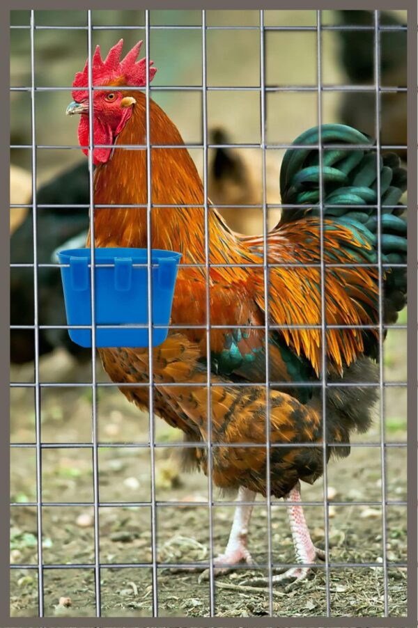 c81520048729dd87 20 Pack Cage Cups Birds Feeders Seed Bowl Chicken Feeding Watering Dish Rabbit Water Food Hanging Wire Cages Box 16oz Coop Cups for Pet Parrot Parakeet Gamefowl Poultry Pigeon (Large Red)